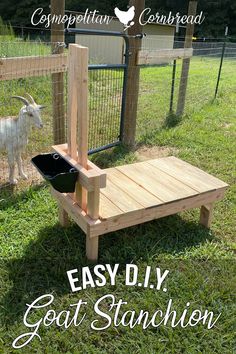 an easy diy goat stand made out of wood and wire with the words easy diy goat stand on it