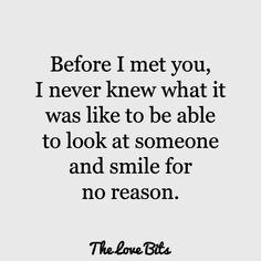 the love bits quote before i met you, i never knew what it was like to be able to look at someone and smile for no reason