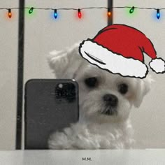 a small white dog wearing a santa claus hat next to a cell phone and christmas lights