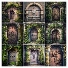 multiple doors with vines growing on them in different styles and sizes, all surrounded by ivy