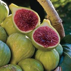 a pile of green and red fruit sitting on top of each other