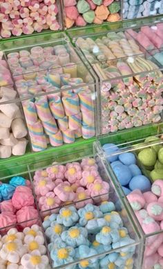 there are many different types of candy in the bins on this display case, including marshmallows and macaroons