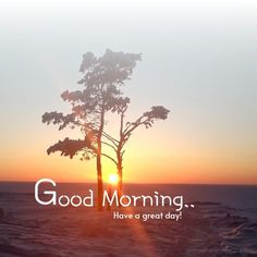 the sun is setting behind a tree and it says, good morning have a great day