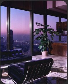 a living room filled with furniture and large windows overlooking the city at night, as well as a potted plant