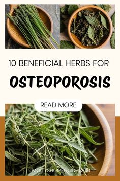 herbs for osteoporosis and how to use them in the home office