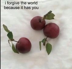 two plums with green leaves on them and the words, i forgive the world because it has you