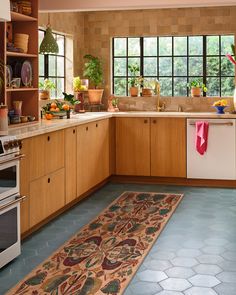 a kitchen with an area rug in front of the stove and sink, along with potted plants