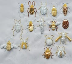 many different types of bugs on a white sheet with gold and silver trimmings