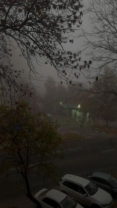 several cars parked in a parking lot on a foggy day