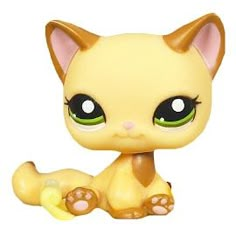 a little yellow kitten with big eyes sitting down