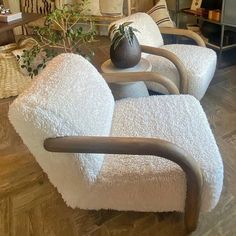 a living room filled with furniture and a potted plant