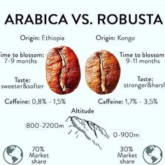 the differences between arabica and robusta coffee beans are shown in this graphic