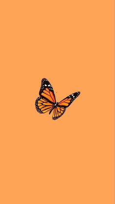 a butterfly flying in the sky on an orange background