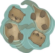 three otters floating in the water with their tails curled up and feet tucked under