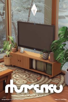 an image of a living room setting with plants on the coffee table and television in the corner