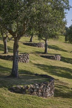 Sloped Backyard, Hillside Landscaping, French Country Garden, Sloped Garden, Garden Types, Have Inspiration, Garden Landscape Design, Garden Cottage, Country Gardening