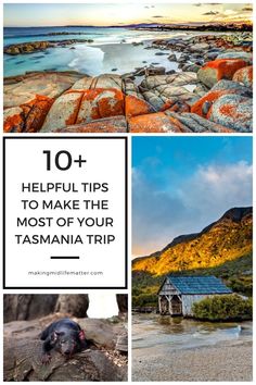 the top ten things to see in this trip