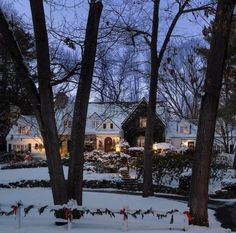 a house is lit up with christmas lights in the front yard and trees covered in snow