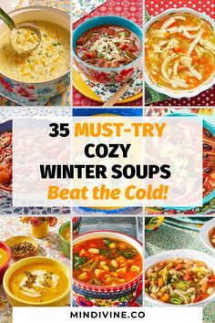 many different types of winter soups with text overlay that reads 35 must try cozy winter soups beat the cold