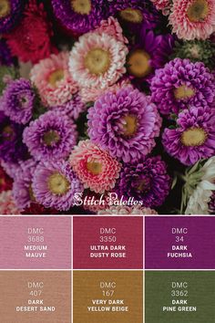 purple and pink flowers are in the color palette