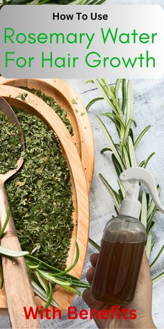 Homemade rosemary water for hair growth with a simple DIY recipe and application routine. Rosemary Water, Diy Recipe, Homemade Beauty Tips, Wild Hair, Simple Diy, Natural Hair Care, Hair Mask, Diy Food Recipes, Hair Growth