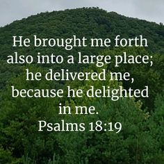 an image with the words, he brought me forth also into a large place he delivered me because he delighteded in me