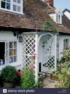 a white house with lots of windows and plants