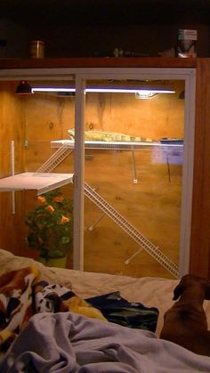 a dog laying on top of a bed next to a sliding glass door that leads outside