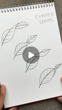 someone is drawing leaves on a notebook