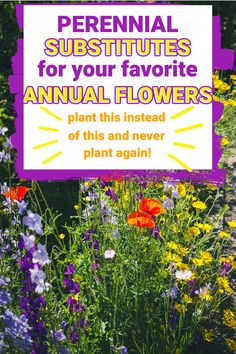 an advertisement for perennial substitues for your favorite annual flowers is shown in the foreground