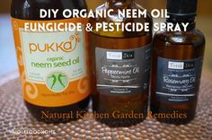 three bottles of organic and pesticide spray sitting on a table with text overlay that reads diy organic nem oil, fencide & pesticide & pesticide spray