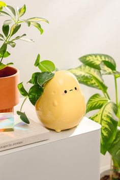 a yellow ceramic planter sitting on top of a white shelf next to a potted plant