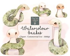 the watercolor snakes clipart commercial use - 350px