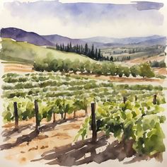 a watercolor painting of a vineyard in the hills