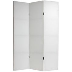 a tall white room divider with two doors