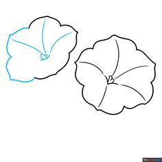 the outline of two flowers on a white background