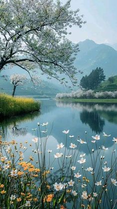 Spring Images, Nature Art Drawings, Beautiful Art Pictures, Beautiful Images Nature, Beautiful Landscape Wallpaper, Beautiful Flowers Pictures