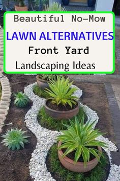 lawn alternatives Lawn Alternatives Drought Tolerant, No Grass Yard, Drought Tolerant Landscape Front Yard, Large Yard Landscaping, Curb Appeal Garden, Low Maintenance Landscaping Front Yard, Grass Alternative, Front Lawn Landscaping, Landscaping With Large Rocks Front Yard