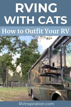 a cat sitting on top of a cage in the back of a truck with text reading rving with cats how to outfit your rv