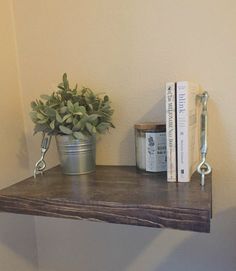 a potted plant sitting on top of a wooden shelf next to two bookends