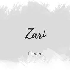 the word zari is written in black ink on a white and gray background with brush strokes