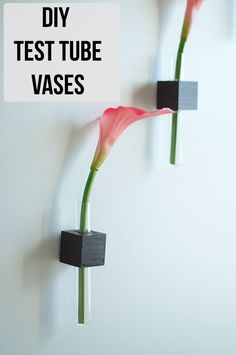 two vases that have flowers in them with the words diy test tube vases