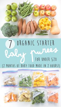 an image of baby food in bags with the title 7 organic starter baby foods for under $ 20