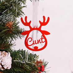 a red ornament hanging from a christmas tree