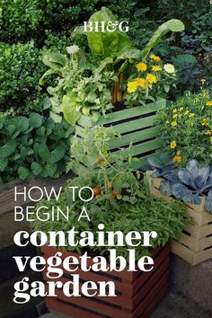 an image of a garden with plants growing out of it and the words how to begin a container vegetable garden