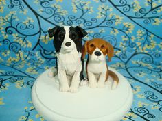 two small dogs sitting on top of a white table next to blue and yellow wallpaper