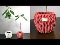 two crocheted vases sitting on top of a table next to a plant