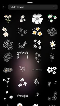 flowers are arranged in the shape of letters and numbers on a black background with white lettering