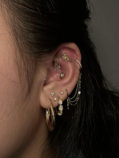 a close up of a person with ear piercings on their left and right ears