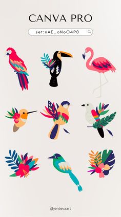 an image of colorful birds and plants on a white background with the words canva pro